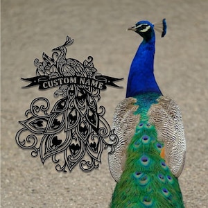 Custom Peacock Metal Wall Art Sign,Personalized Peacock Sign,Peacock Metal Hang Sign,Peacock Name Metal Sign,Housewarming,8-24inches
