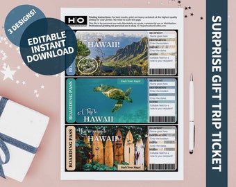 Hawaii Mock Trip Ticket: Surprise Gift (Instant PDF Download) Printable & Editable Faux Boarding Pass or Keepsake