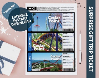 Cedar Point Mock Trip Ticket: Surprise Gift (Instant PDF Download) Printable & Editable Faux Boarding Pass or Keepsake