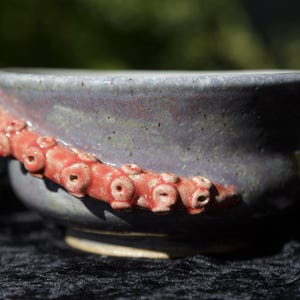 Octopus Inspired Stoneware Pottery 6&quot; Bowl Wheel Thrown & Handbuilt Ceramic Ocean Theme