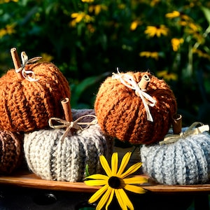 Rustic Crochet Pumpkins: Farmhouse Fall Decor with Cinnamon Stem