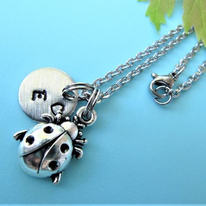 Ladybug Necklace, Ladybug Jewelry, Ladybug Charm Necklace, Ladybug Jewelry Gift, Ladybug Pendant, Ladybug Lover Gift, Personalized Necklace