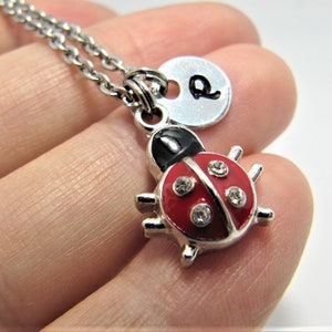 Personalized Red Ladybug Neklace, Insect Necklace, Ladybug Pendant, Ladybug Jewelry, Ladybug Lover Gift, Ladybug Charm, Ladybug gifts
