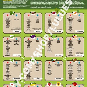 Puede incluir: Un gr&aacute;fico colorido con un coraz&oacute;n en la parte superior que dice "Companion Planting". El gr&aacute;fico est&aacute; dividido en cuadrados, cada uno representando un tipo diferente de verdura o hierba. Cada cuadrado tiene una lista de plantas que son buenas compa&ntilde;eras para la planta en el cuadrado. El gr&aacute;fico es una gu&iacute;a para ayudar a los jardineros a elegir las mejores plantas para cultivar juntas.