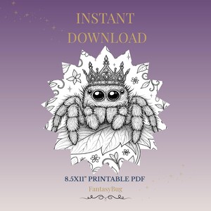Jumping Spider Coloring Page – Fantasy Insect Line Art – Printable Bug Illustration for Adults – 8.5x11 PDF Download
