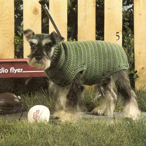 Pull pour chien MOTIF AU CROCHET manteau pour chiot Tableau des vêtements de base pour animaux de compagnie ⨯ 12 tailles incluses ⨯ vintage 1970 ⨯ Téléchargement PDF par The vintage Purl
