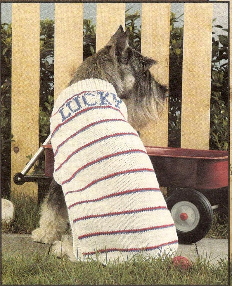 Vintage Knitting Pattern Basic Dog Puppy Knit Sweater Coat Etsy