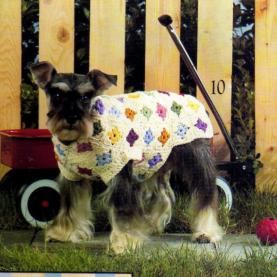 granny square dog sweater