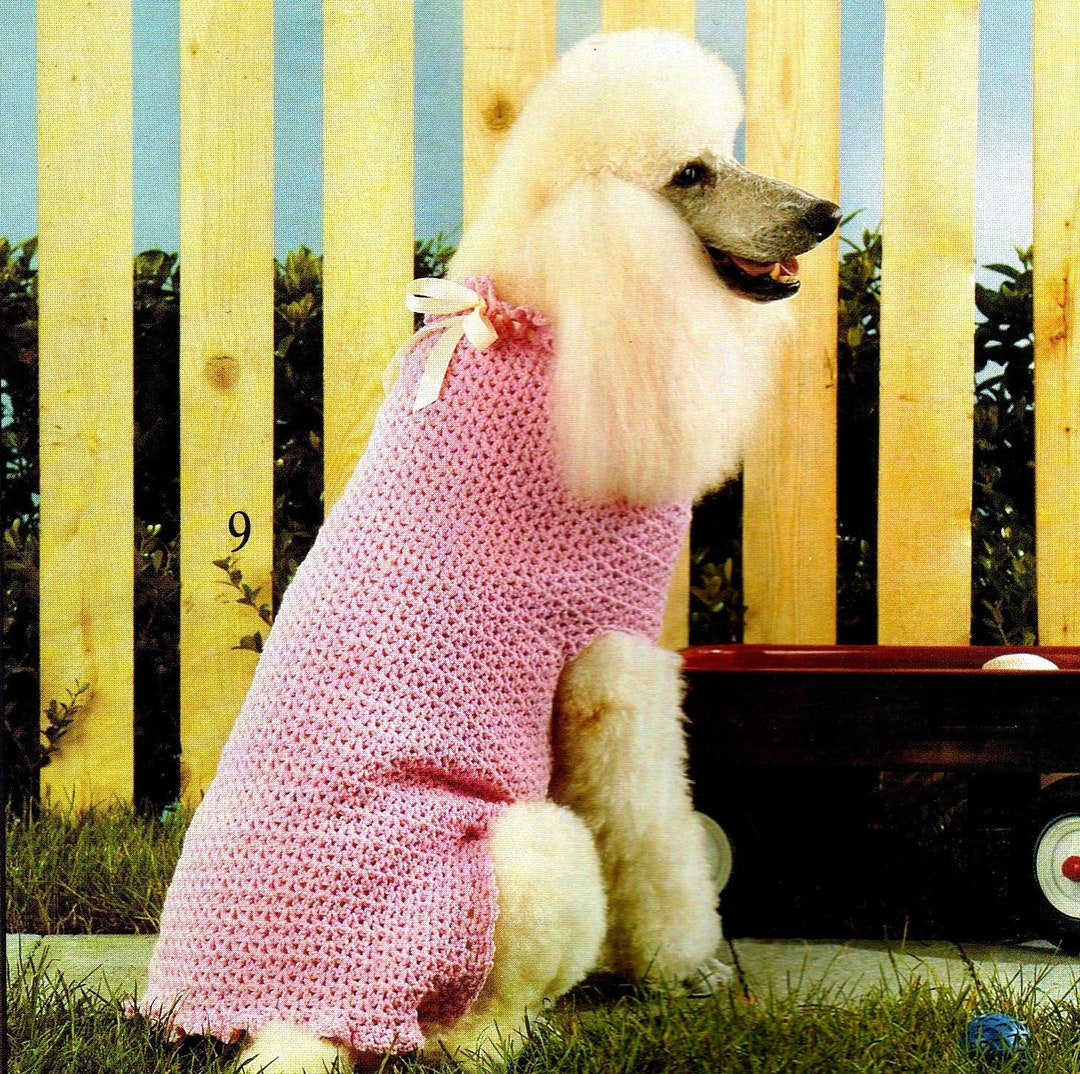 Crochet Pattern Dog Puppy Sweater Coat Lace 12 Sizes Included Etsy