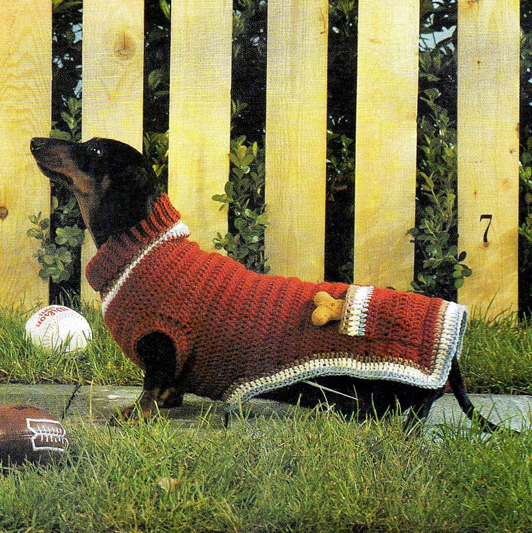Crochet Pattern Dog Puppy Sweater Turtle Neck Pull Over Etsy