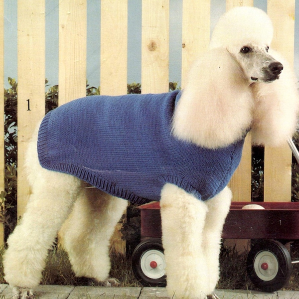 knitting pattern dog sweater puppy easy basic knit coat jacket farisle bone name stripe 12 sizes included 1970 PDF DOWNLOAD the vintage purl