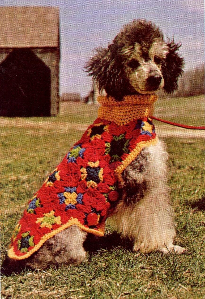 40 Dog Crochet Patterns for Amigurumi, Wearables, and Giftable Makes 18 Small Dog Granny Square Sweater Crochet