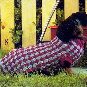 Könnte beinhalten: Ein Dackel trägt einen rot-grauen karierten gehäkelten Hundepullover. Der Hund sitzt auf grünem Gras vor einem Holzzaun.