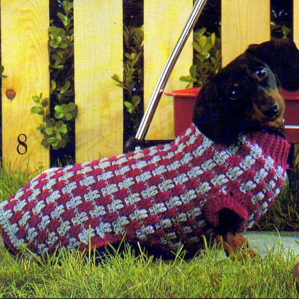 crochet pattern dog puppy sweater turtle neck pull over plaid coat jacket 1970 PDF DOWNLOAD the vintage purl