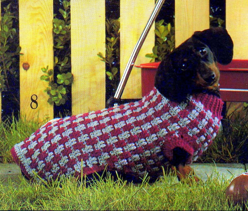 May include: A dachshund wearing a red and grey checkered crocheted dog sweater. The dog is sitting on green grass in front of a wooden fence.