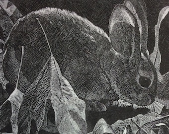 Beneath the Sycamores