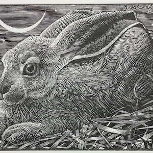 COSMIC RABBIT