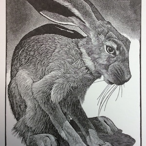 Puede incluir: Ilustración detallada en blanco y negro de una liebre sentada. La obra de arte presenta un intrincado trabajo de líneas, capturando la textura del pelaje y la expresión atenta de la liebre. Las iniciales del artista están en la esquina superior derecha.