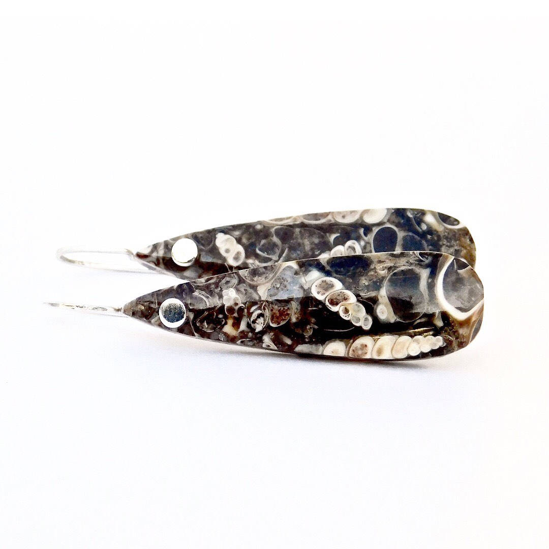 •AEON• turritella fossil + silver necklace (18