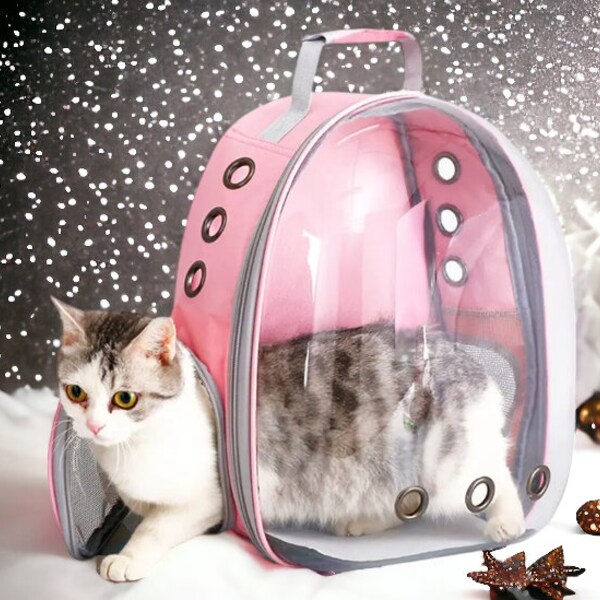 Bubble Pet Carrier Etsy