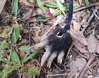 Real Opossum Paw Pendant