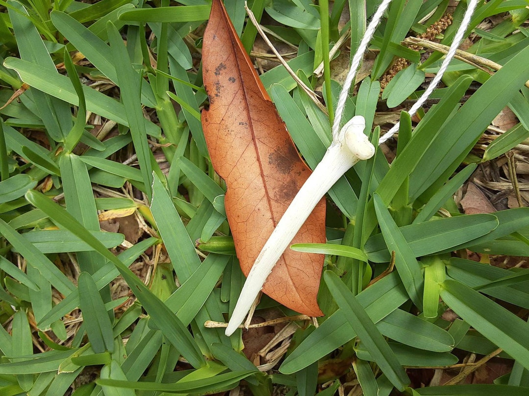 Catfish Barb Bone Necklace Etsy
