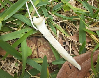 Real Blue Catfish Barb Bone Pendant