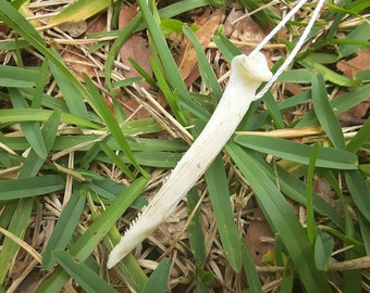 Large Blue Catfish Barb Bone Pendant