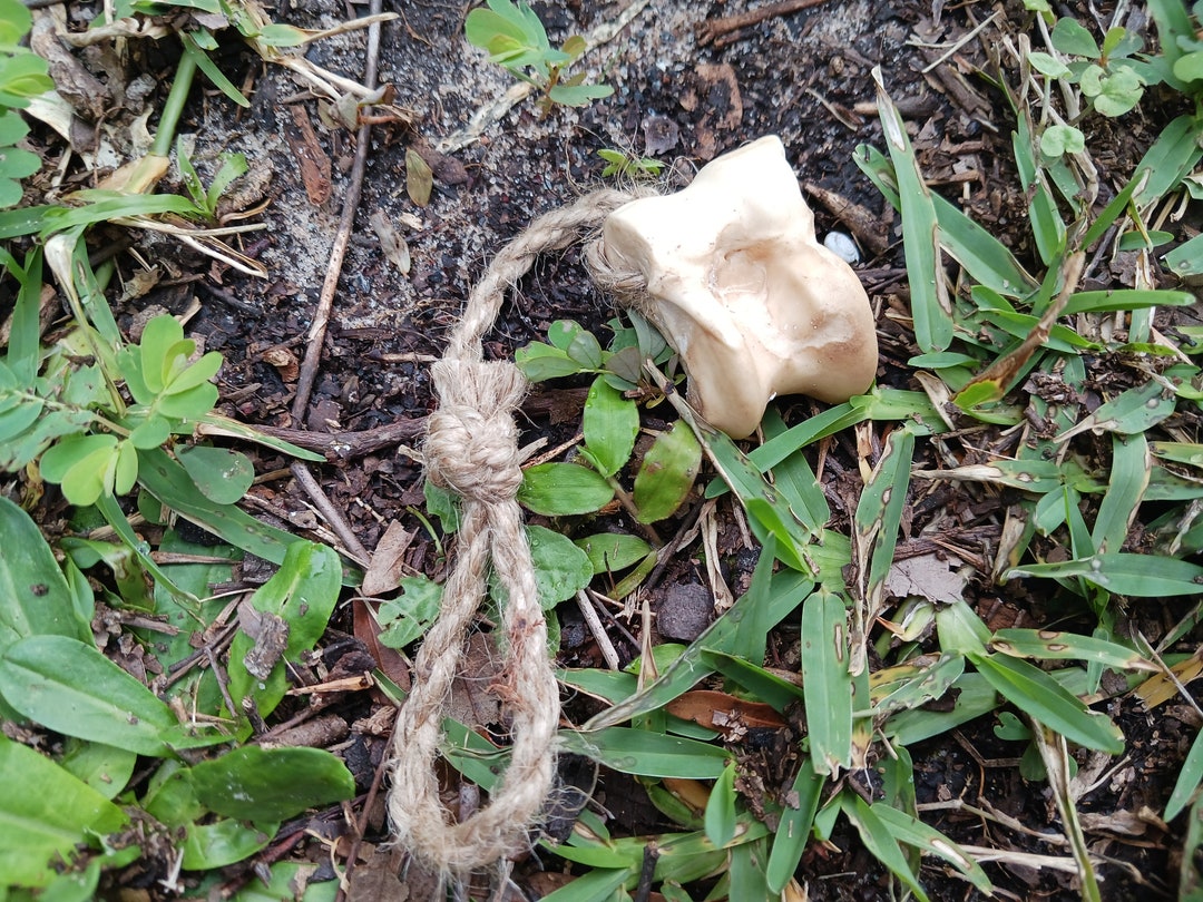 Deer Bone Bow Drill Bearing Block Etsy