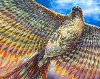 Falco dalla coda rossa trasformato in fenice, fenice arcobaleno, simbolo di rinascita e rinnovamento