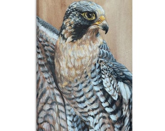 Falcon Canvas Print, Falconry Wall Art, Nature Inspired Art Prints