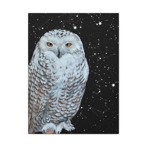 Snowy Owl Canvas Print, Owl Spirit Guide Wall Art