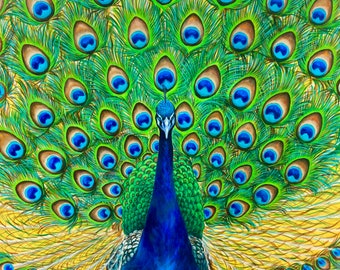 Peacock Art Print, Vibrant Wall Art, Prosperity Office Painting