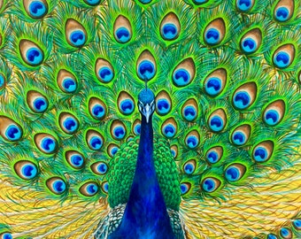 Peacock Paper Print, Vibrant Peacock Spirit Animal Wall Art