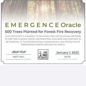 Carte Oracle - E M E R G E N C E Mazzo Oracle Indie da 63 carte ispirato all'emergere della vita nei regni della natura, mitici e cosmici immagine 10