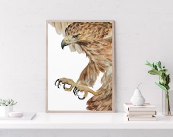 Red Tailed Hawk Canvas Print, Hawk Power Animal Wall Art