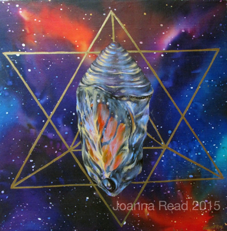 Butterfly/'s Journey of Metamorphosis Galaxy Chrysalis Star Tetrahedron