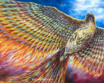 Red Tailed Hawk Turned Phoenix, Rainbow Phoenix, Rebirth and Renewal Symbol