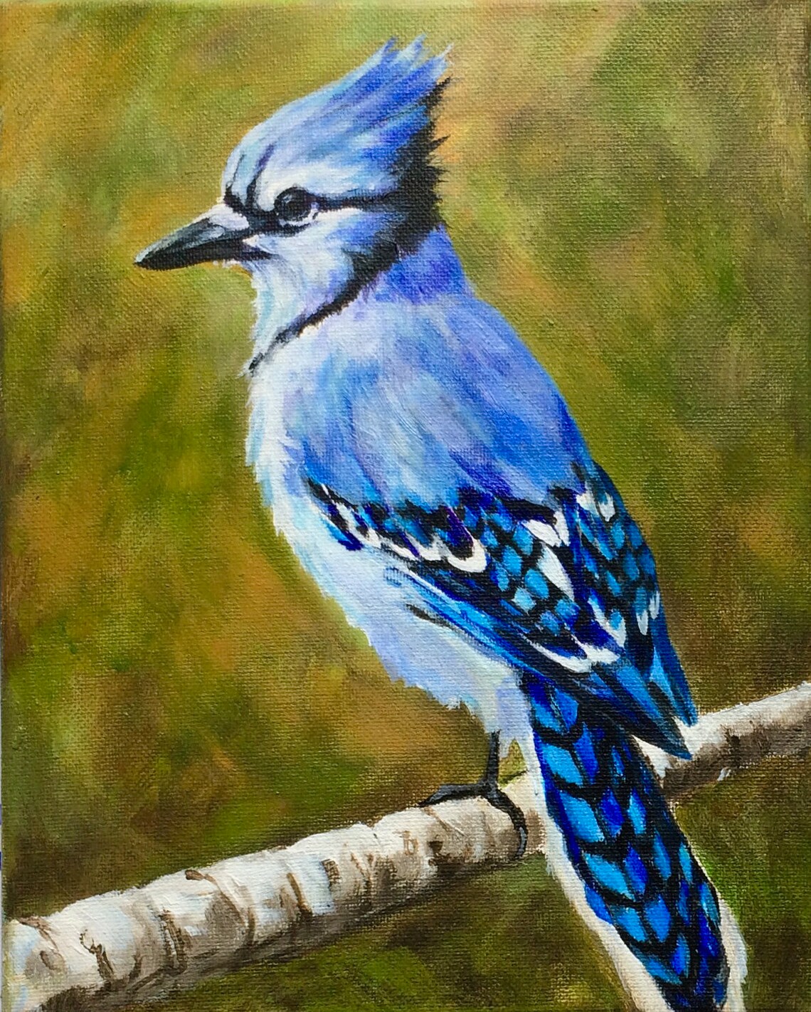 Blue Jay art print Bird art for home Etsy