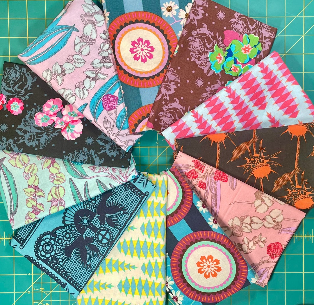 Pretty Potent - 11 FQ Bundle - Anna Maria Horner Oop Htf - Etsy