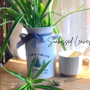 May include: A white ceramic mug with a black handle and the text "But First, Coffee" in a bold, black font. The mug is set against a blurred background, suggesting a cozy setting. The mug appears to be approximately 4 inches tall.