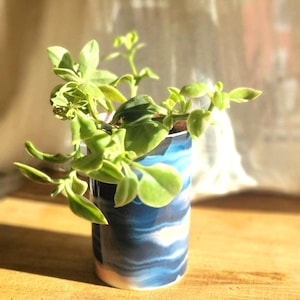 Red Dorotheanthus Flowering Plant in Ocean Wave Upcycled Planter | Low Maintenance House Plant