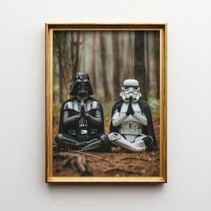 Könnte beinhalten: Gerahmter Druck mit Darth Vader und einem Sturmtruppler, die in einem Wald meditieren. Die Figuren tragen ihre ikonischen schwarzen und weißen Rüstungen und sitzen in einer Meditationshaltung vor einem Hintergrund aus Bäumen. Der Rahmen ist golden.