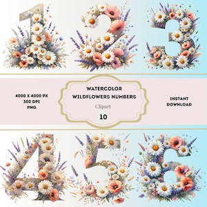 Aquarelle fleurs sauvages numéros des cliparts, fleurs sauvages numéros PNG, numéros de mariage aquarelle, numéros floraux de printemps, clipart bébé jalon