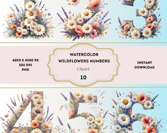 Aquarel wilde bloemen nummers clipart, wilde bloemen nummers PNG, aquarel bruiloft nummers, lente bloemen nummers, baby mijlpaal clipart