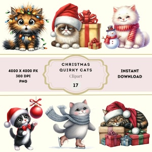 Quirky Christmas Cat Clipart, Cute Christmas Cats PNG, Cute Kittens Bundle, Whimsical Christmas Cats Clipart, Christmas Vacation Cat PNG