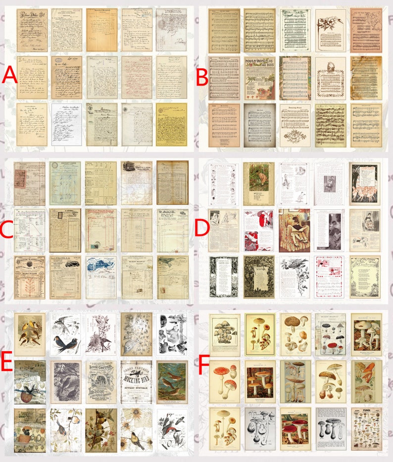 60pcs Vellum Memo Pack,label Junk Journal Paper,mushrooms Frame Collage