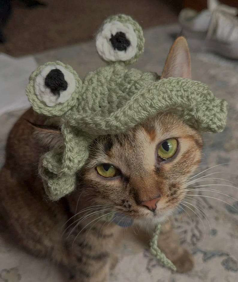 Frog Cat Hat Crochet Pattern - Etsy