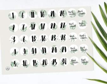 Ramadan Kalender Zahlen Sticker in floral boho style für Ramazan Dekoration Handlettering Zahlen-Stickern Iftar Night von renna deluxe