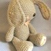 see more listings in the Amigurumi patterns section